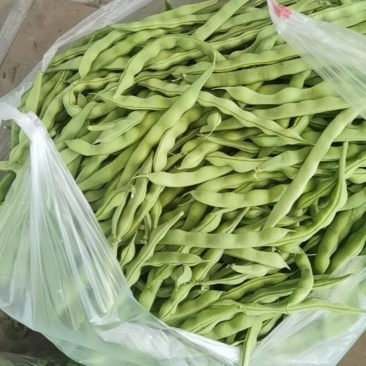 肉豆