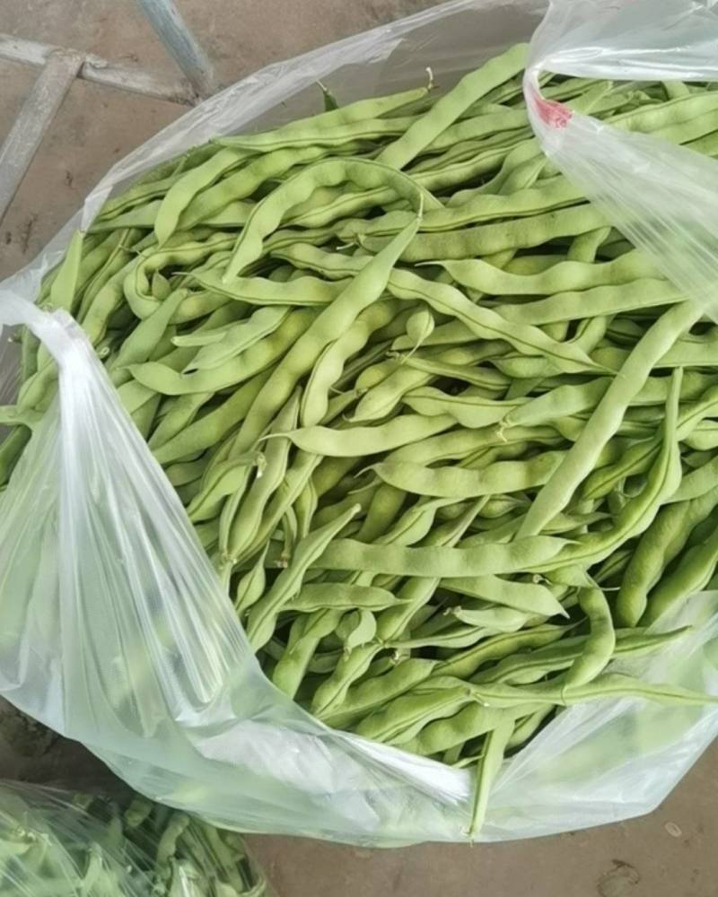 肉豆