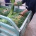 红帽蒜薹