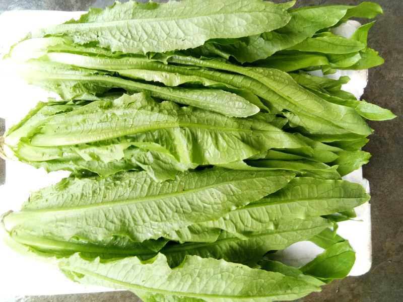 油麦菜（新鲜油麦菜现货）