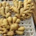 【精品】山东生姜大黄姜大量现货供应全国发货品质保证