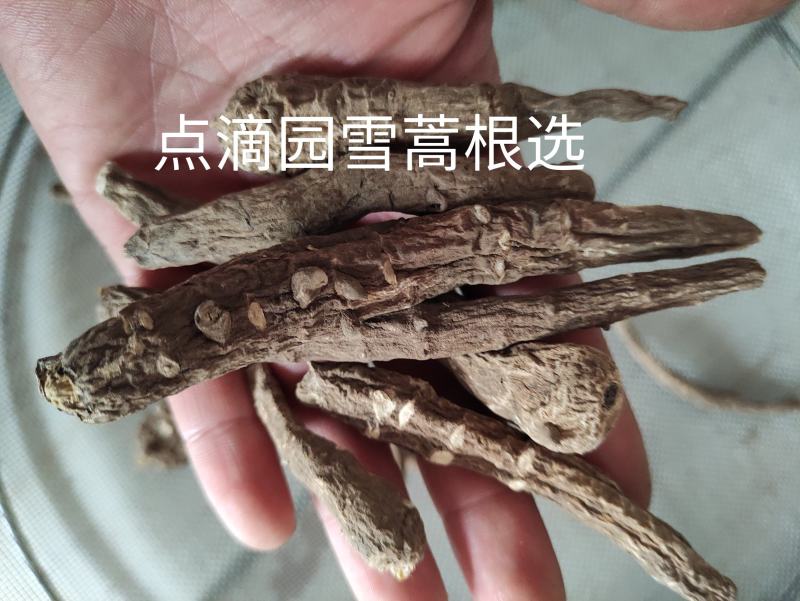 点滴园正品云南大山野生雪蒿根需要客户请直接下单