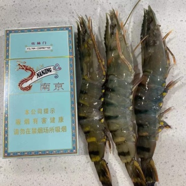26出山东长期稳定货源泰国黑虎虾，一盒16只