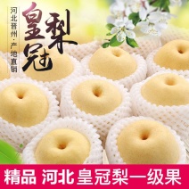 【产地】【一件代发】河北皇冠梨新鲜水果梨子多规格包邮