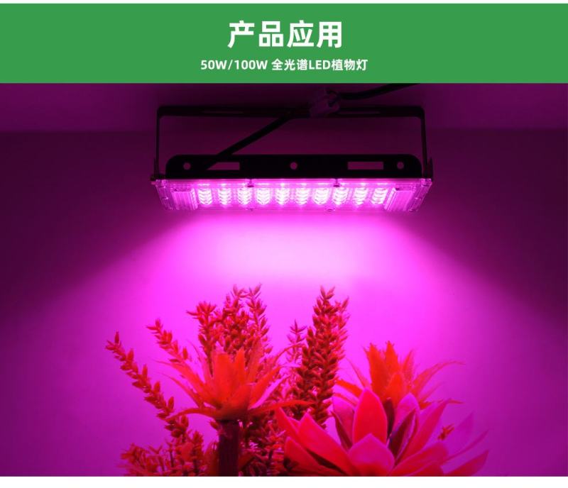 50W/100W全光谱植物生长灯全光谱育苗补光灯植物灯
