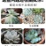 50W/100W全光谱植物生长灯全光谱育苗补光灯植物灯