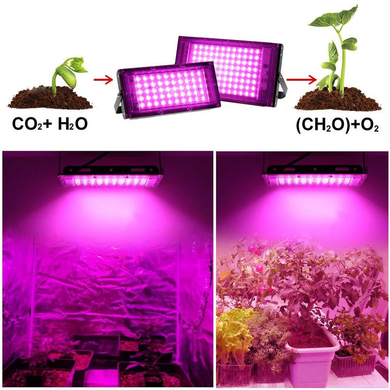 50W/100W全光谱植物生长灯全光谱育苗补光灯植物灯