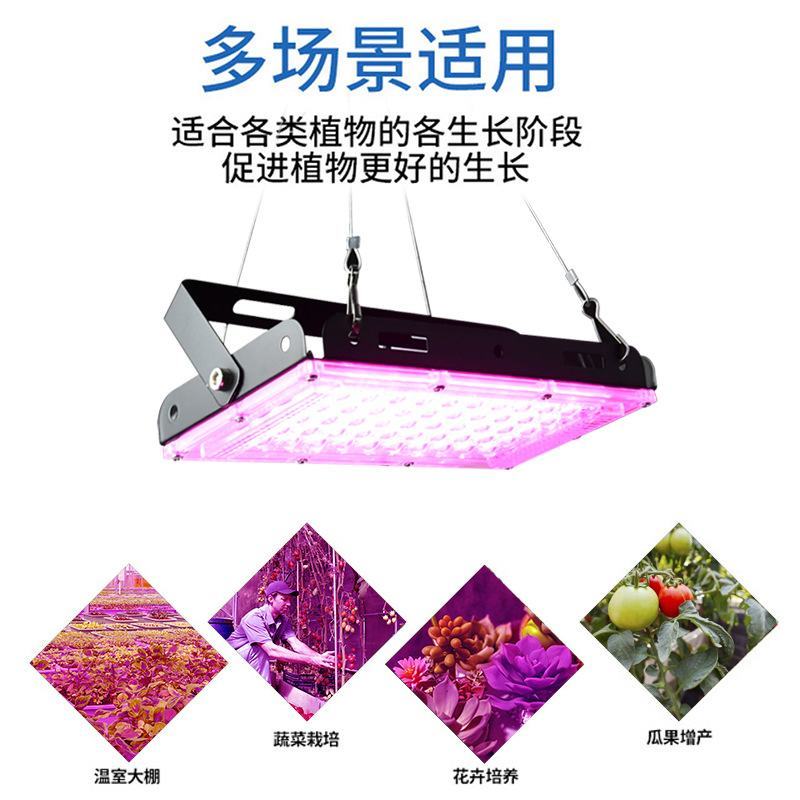 50W/100W全光谱植物生长灯全光谱育苗补光灯植物灯