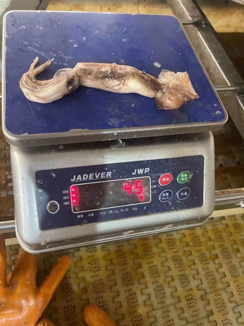 40-60克小鱿鱼，真鱿船冻，过磅。整柜走