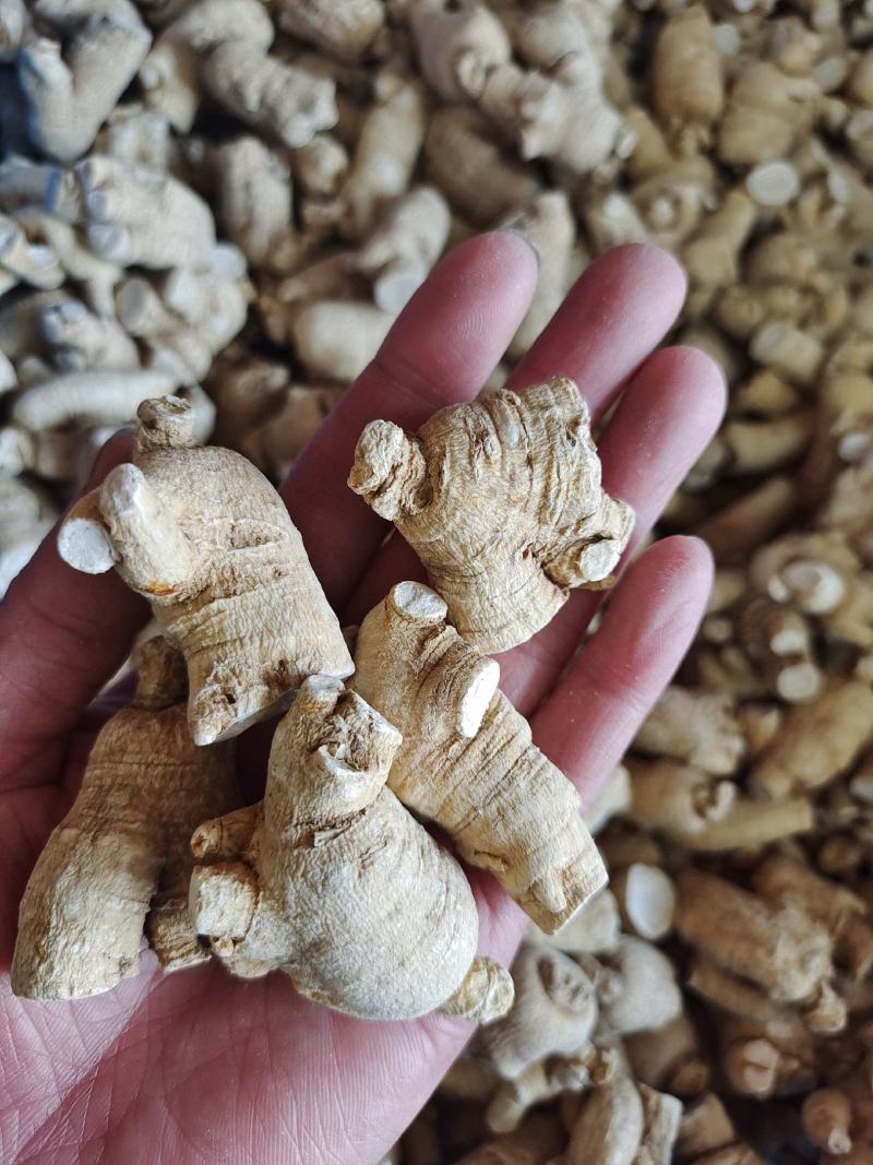 产地发货，西洋参粒头，正宗长白山西洋参，各种规格