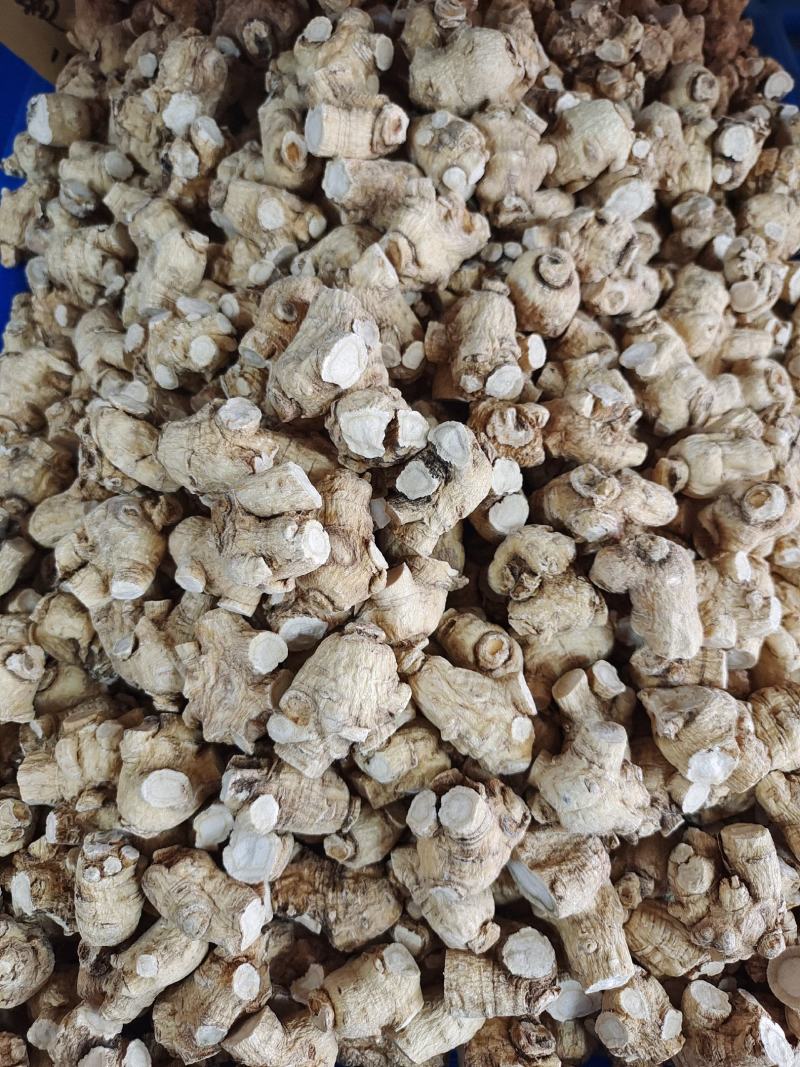 产地发货，西洋参粒头，正宗长白山西洋参，各种规格