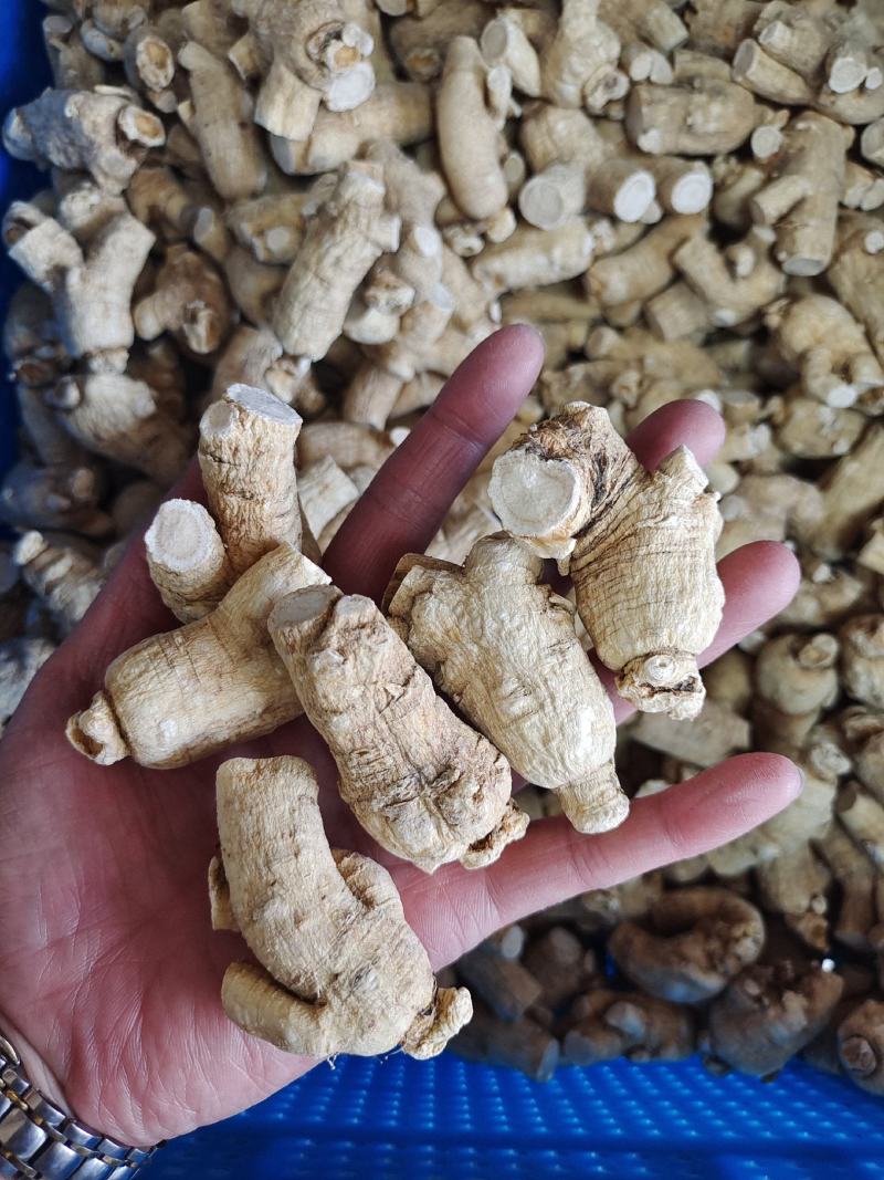 产地发货，西洋参粒头，正宗长白山西洋参，各种规格