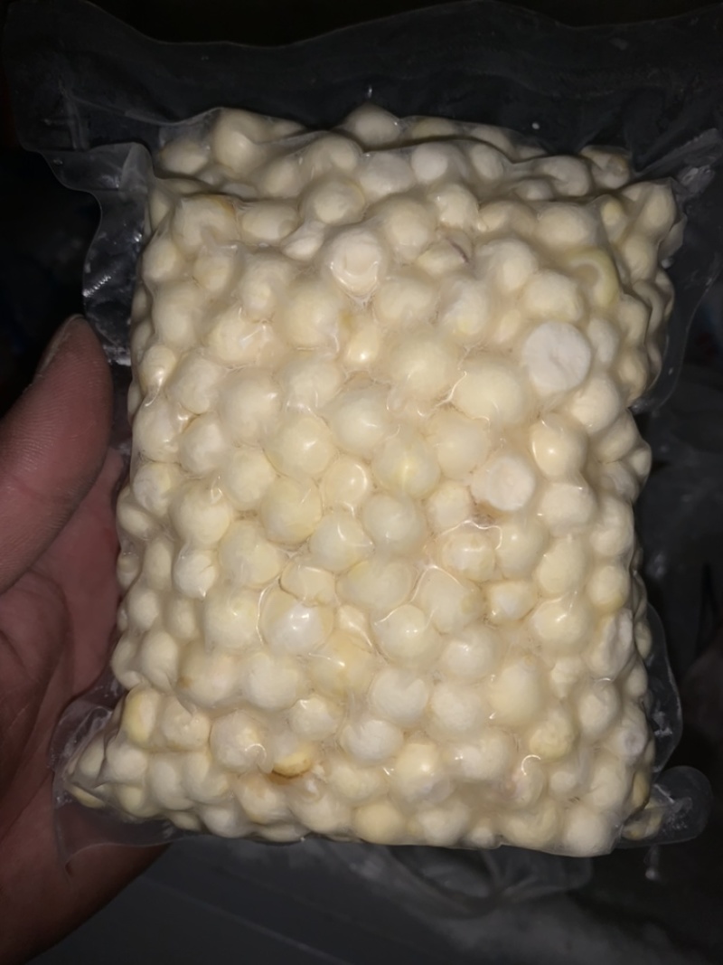 新鲜苏芡