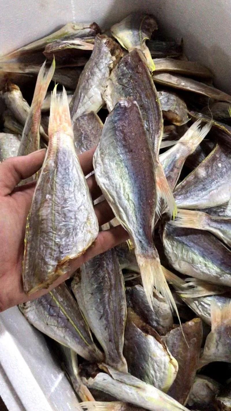 红三鱼正宗北海鱼干，一手货源，价格美丽。