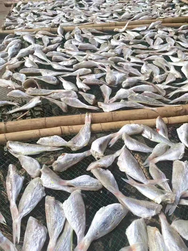 红三鱼正宗北海鱼干，一手货源，价格美丽。