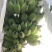 精品苹果蕉