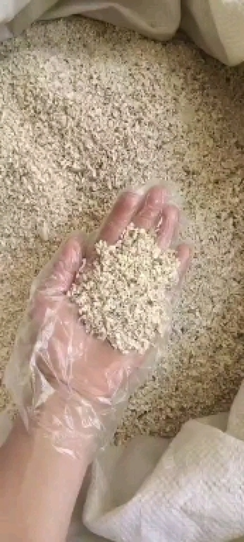云南茯苓颗粒无硫农家干货直供量大从优500g