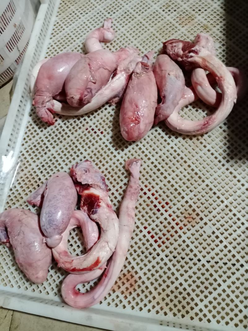 黄牛牛鞭宝套