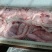黄牛牛鞭宝套
