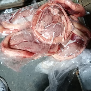 黄牛牛鞭宝套