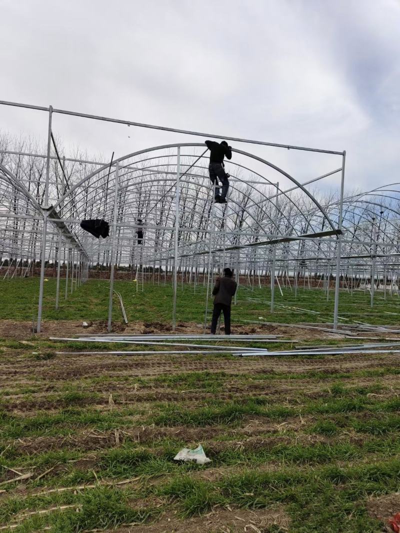 连栋种植大棚蔬菜大棚连体大棚热镀锌镀锌带