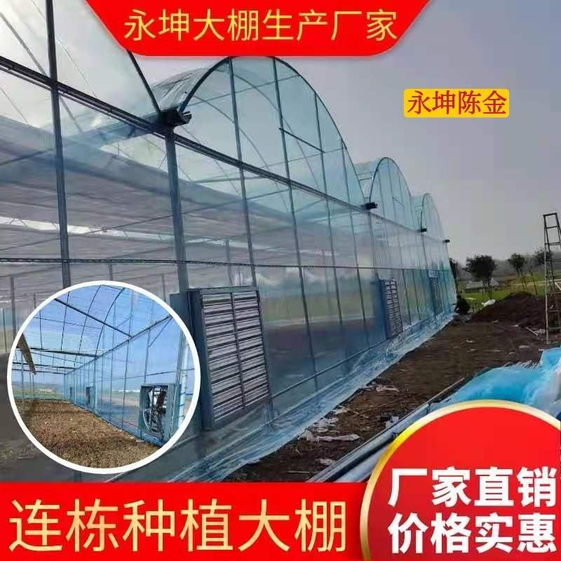 连栋种植大棚蔬菜大棚连体大棚热镀锌镀锌带