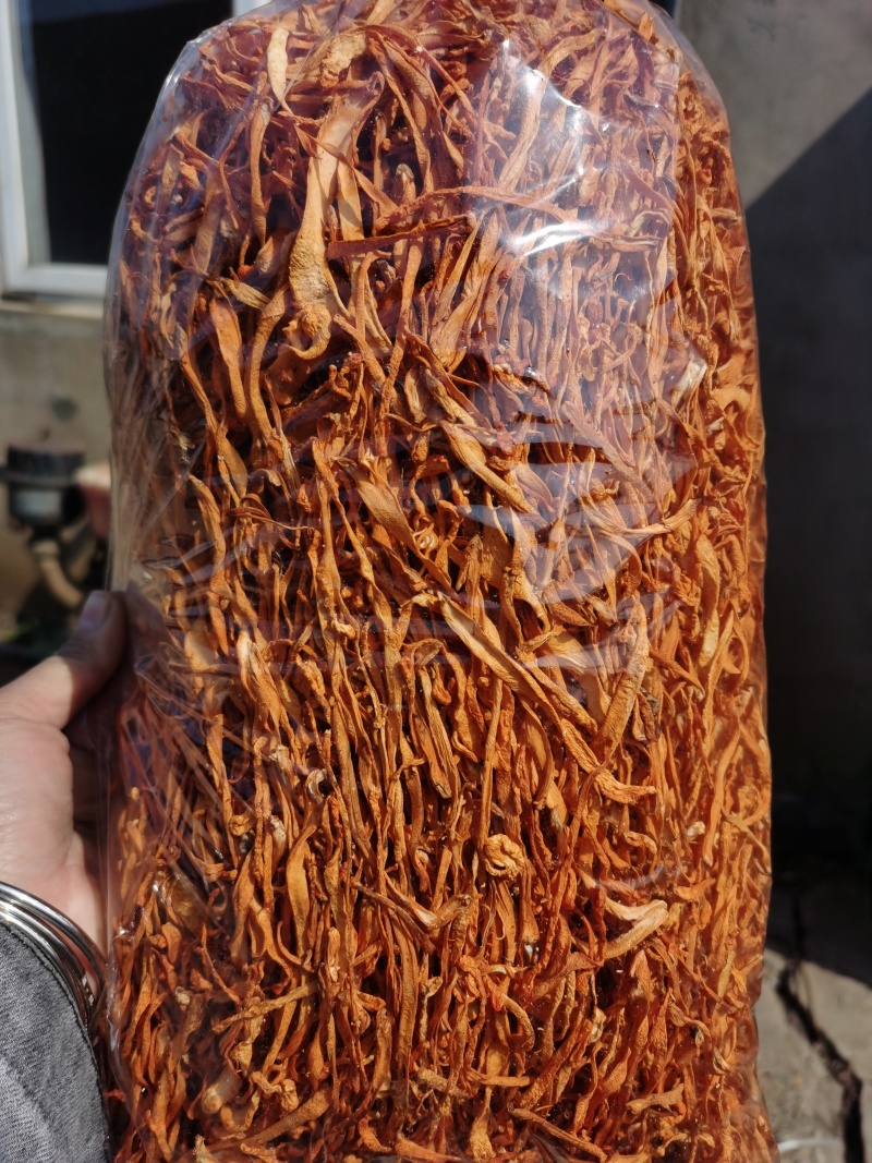 虫草花产地直销正品包邮1000g500g