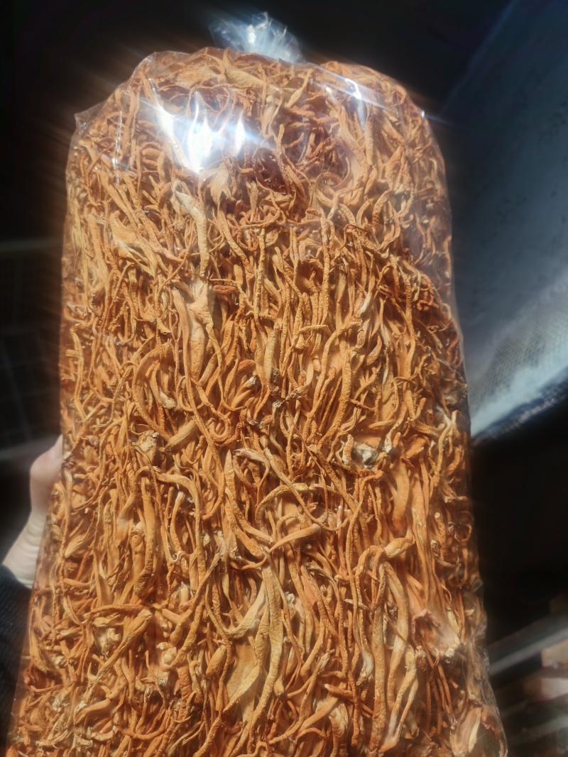 虫草花产地直销正品包邮1000g500g