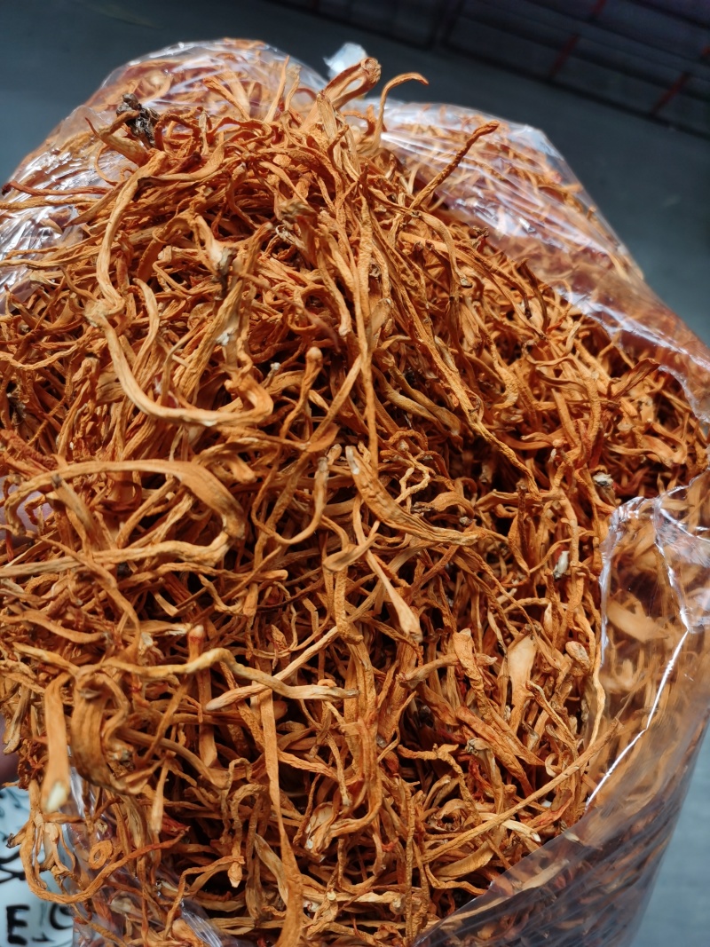 虫草花产地直销正品包邮1000g500g