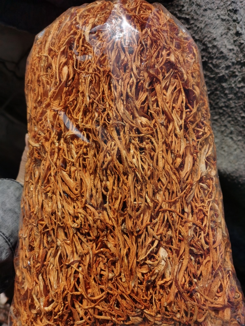 虫草花产地直销正品包邮1000g500g
