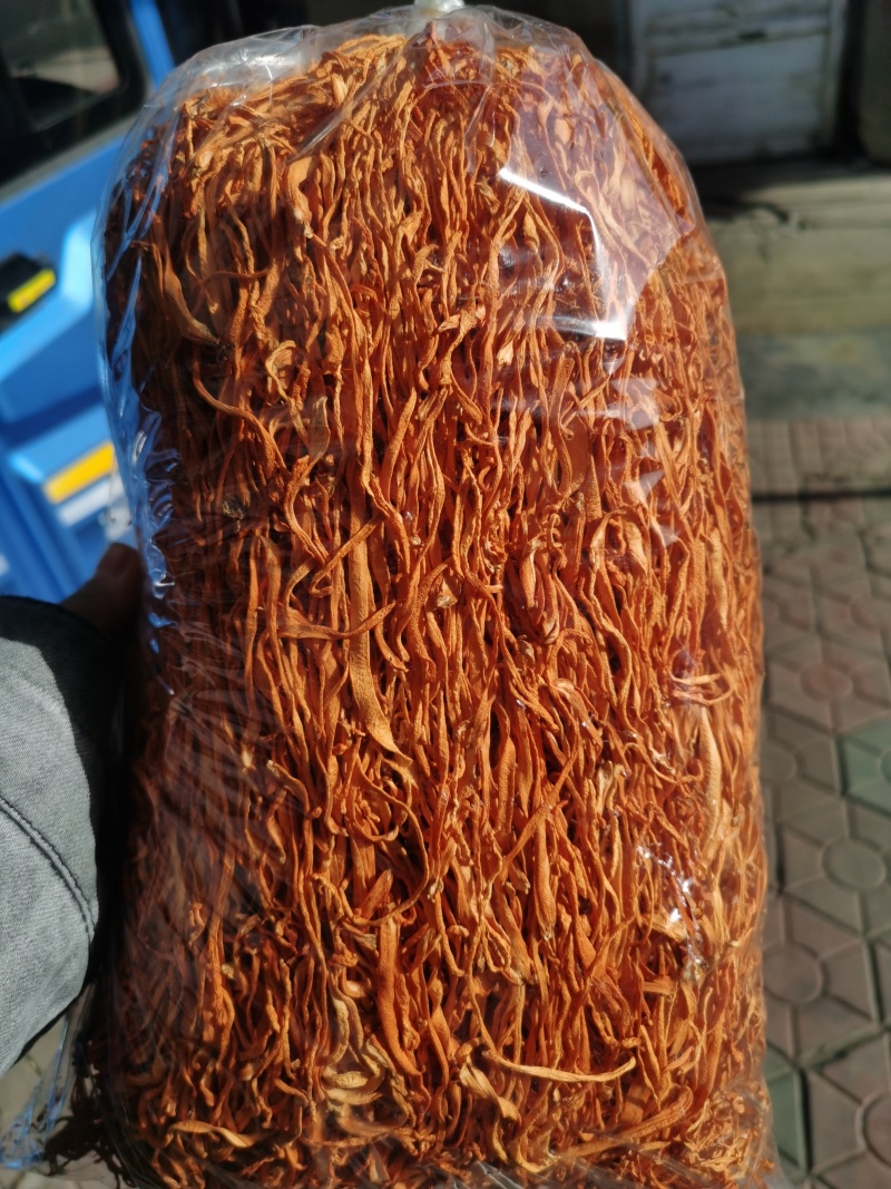 虫草花产地直销正品包邮1000g500g