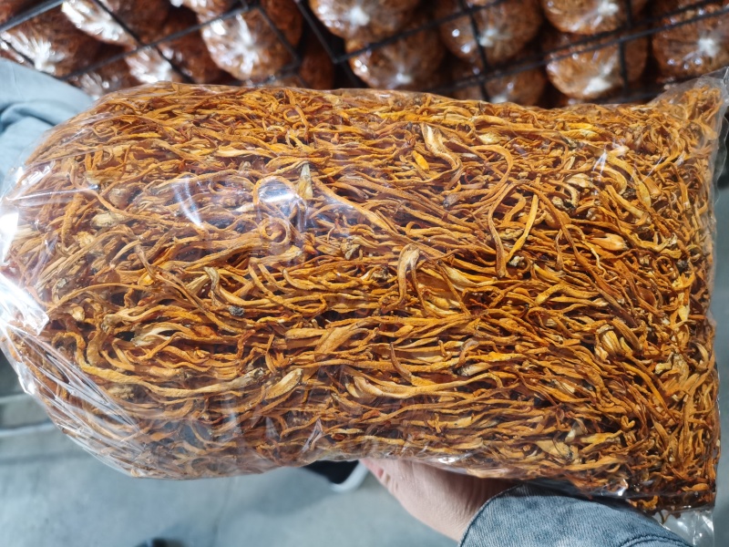 虫草花产地直销正品包邮1000g500g