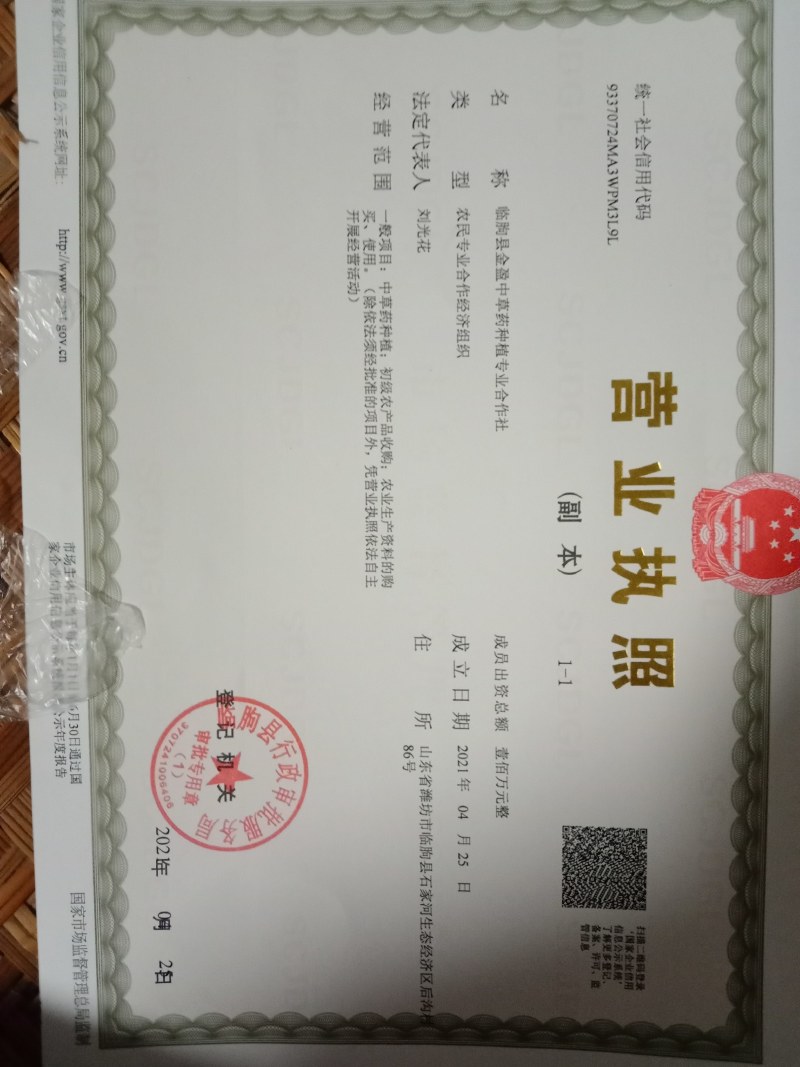 黄芩籽，黄芩种子包发芽，批发免费技术指导，成品包回收