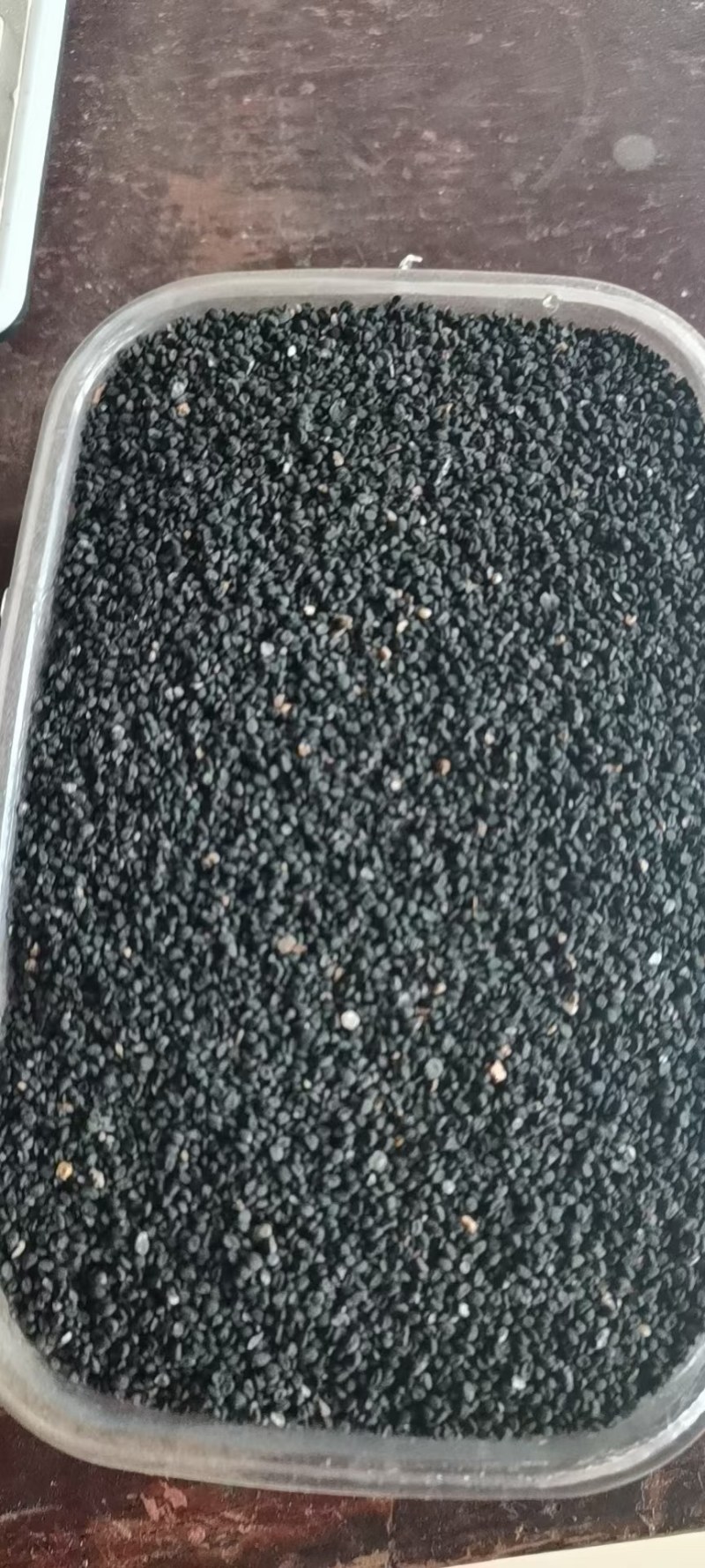 黄芩籽，黄芩种子包发芽，批发免费技术指导，成品包回收