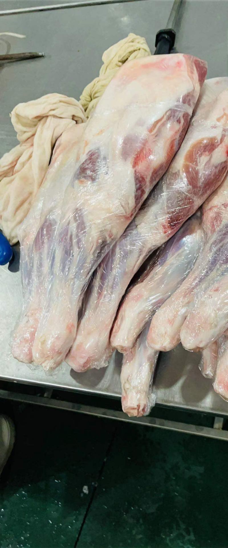 羔羊前腿，9.5公斤6.78条