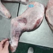 羔羊前腿，9.5公斤6.78条