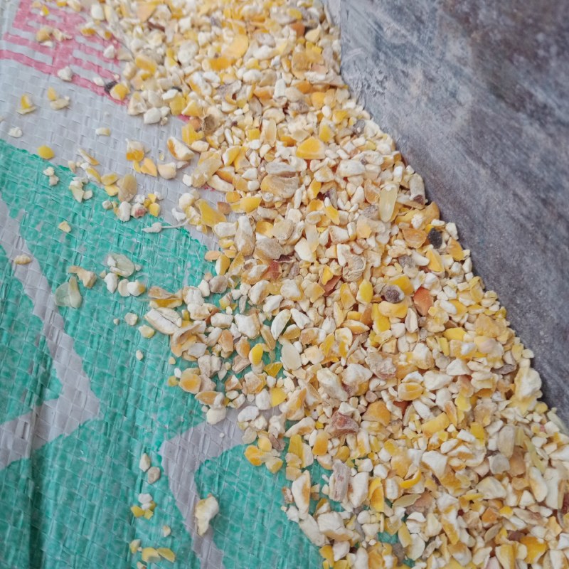 广东碎玉米，玉米碎，玉米下脚料，饲料专用原料，粉碎玉米
