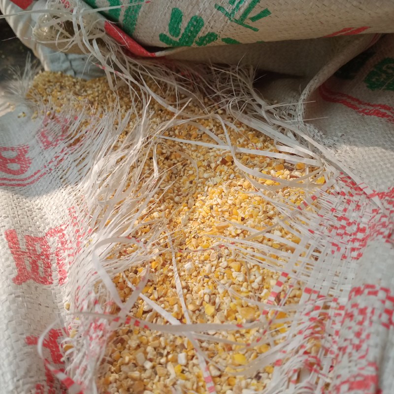 广东碎玉米，玉米碎，玉米下脚料，饲料专用原料，粉碎玉米
