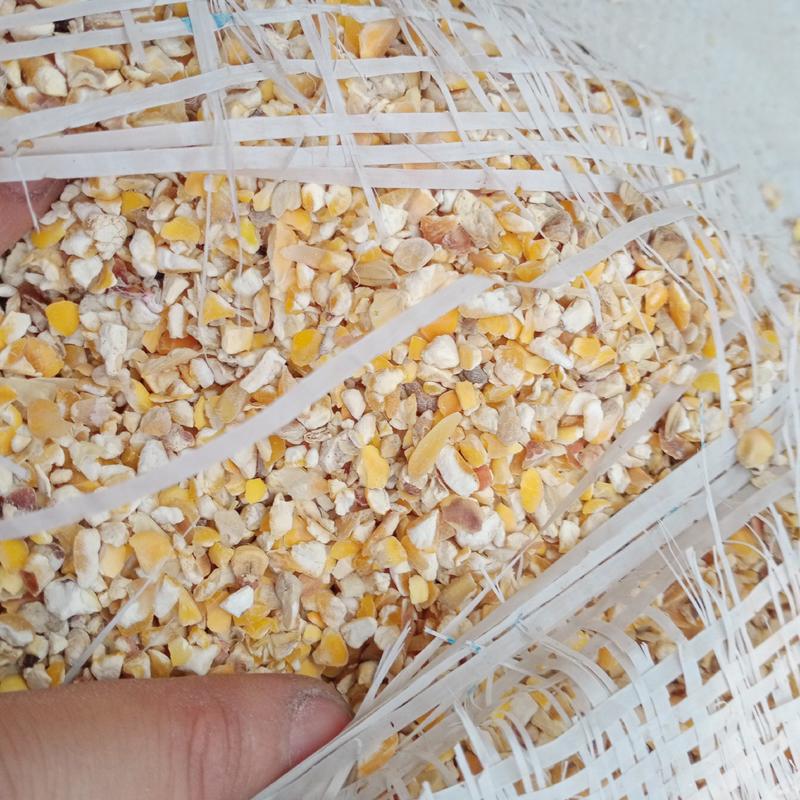 广东碎玉米，玉米碎，玉米下脚料，饲料专用原料，粉碎玉米