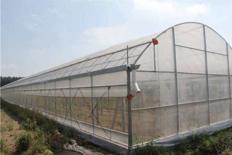 大棚防虫网20目绞织40目80目100目加厚可拼接