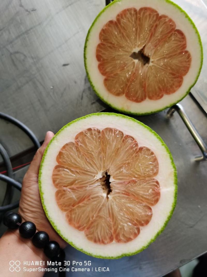 越南进口红心青皮红心柚产地一手货源直销批发