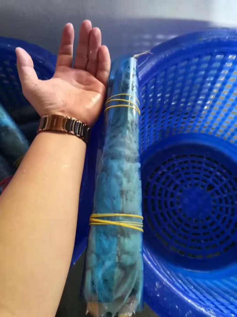 富贵虾