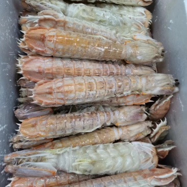 富贵虾