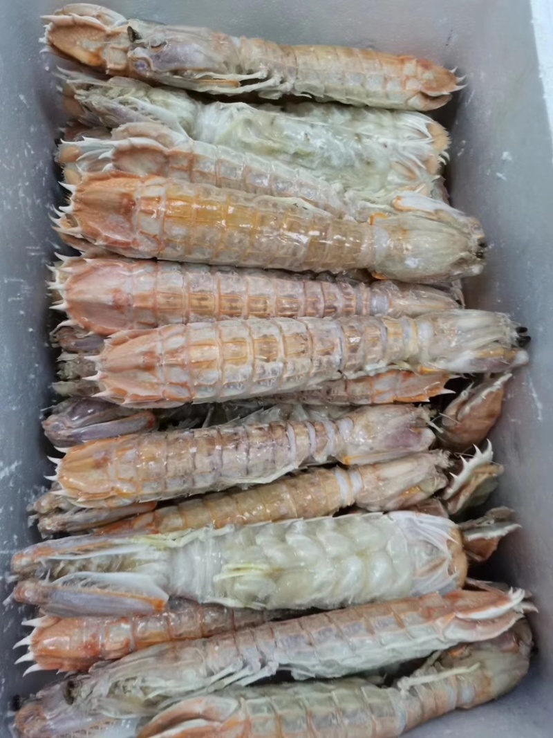 富贵虾