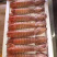 富贵虾