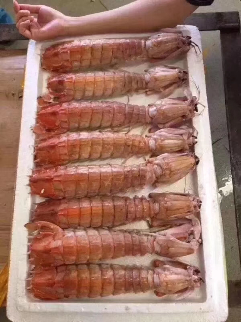 富贵虾