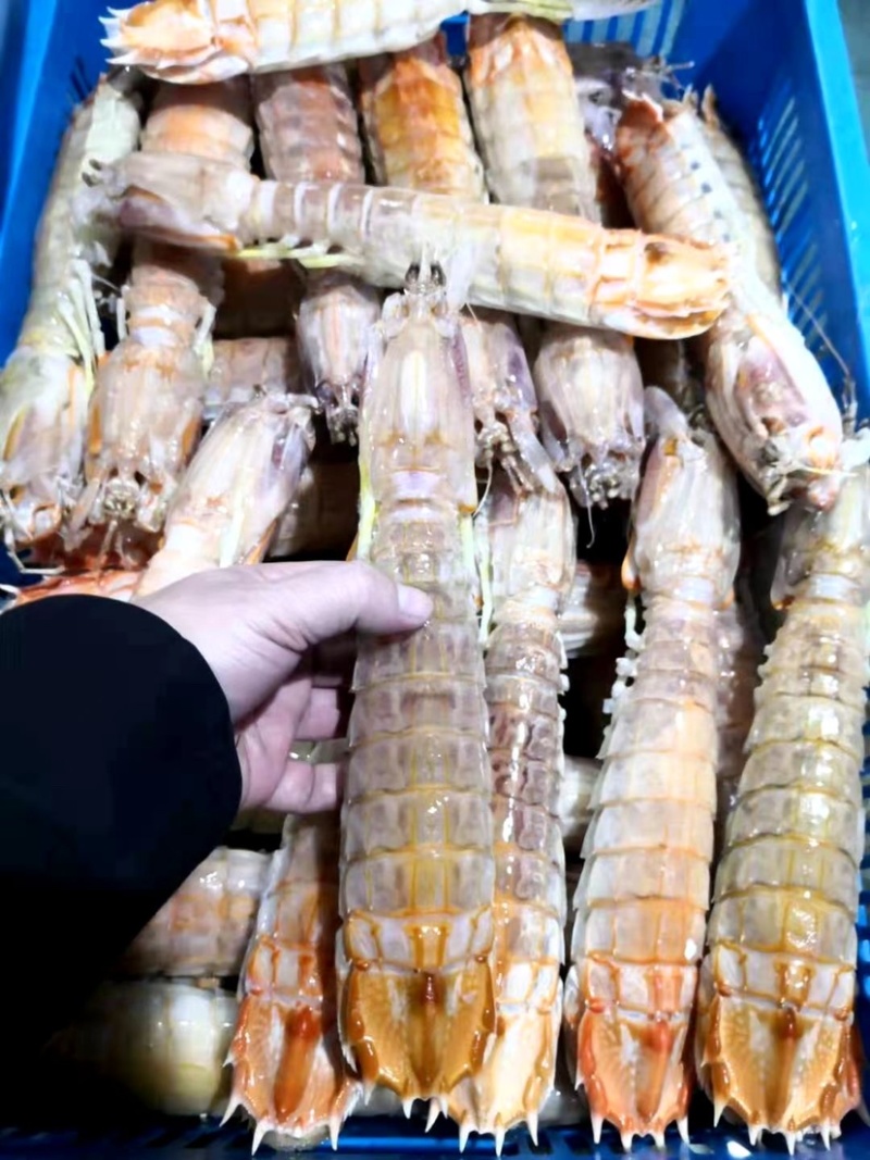 富贵虾