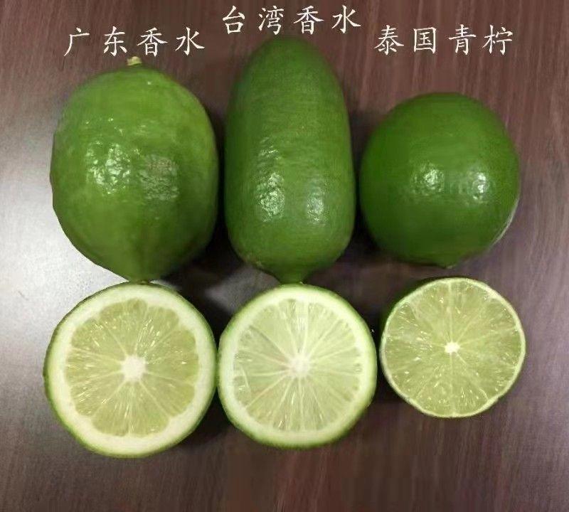 广东香水柠檬，台湾香水柠檬，青柠。土柠檬，诚信经营
