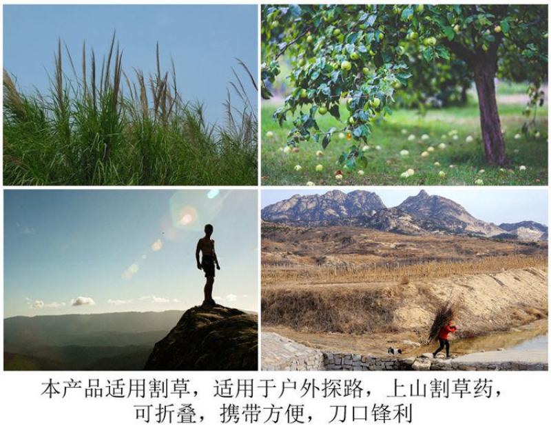 农用镰刀免磨钢折叠镰刀割草刀割稻谷草刀钓鱼农具大镰刀除草