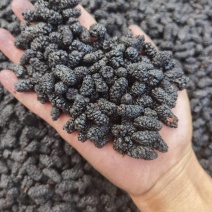 水洗无沙精品桑葚干产地一手货源高糖大颗粒直发全国！